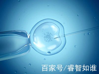 代怀生子机构
